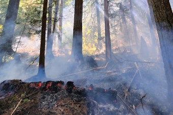 caption: A wildfire sparked by lightning burns through the Gifford Pinchot National Forest, south of Mount Rainier, Aug. 28, 2023. 