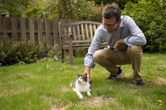 caption: Bob Ferguson with his cat Peter on Tuesday, September 3, 2024, at his home in Northeast Seattle. 