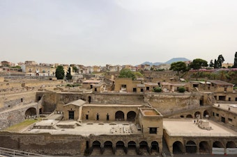 caption: A general view of the the archaeological excavations of Herculaneum in southern Italy.
