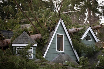 caption: A large tree is shown fallen onto a home along 173rd Avenue Northeast on Thursday, November 21, 2024, in Bellevue. 