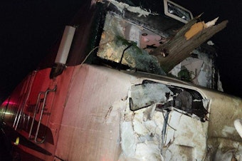 caption: A tree nearly impaled an Amtrak engineer near Stanwood, Washington, on Nov. 19, 2024.