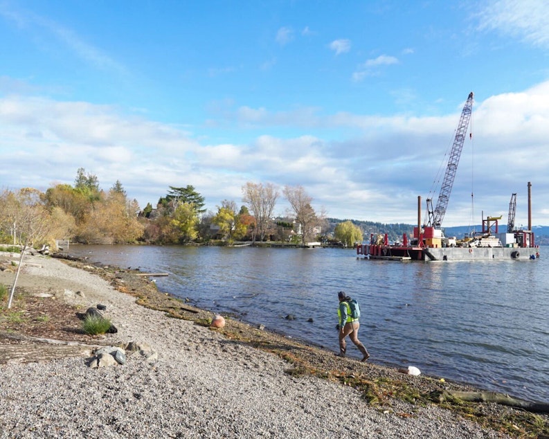 caption: Ashley Townes walks along the shore of Lake Washington, where efforts are underway to restore and improve the underwater habitat.