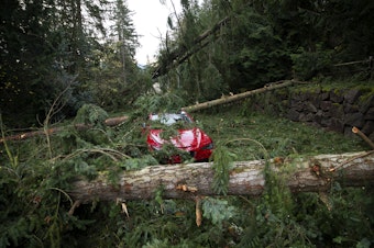 caption: A car sits abandoned surrounded by fallen trees and debris following a 'bomb cyclone' on Thursday, November 21, 2024, along Northup Way in Bellevue. 