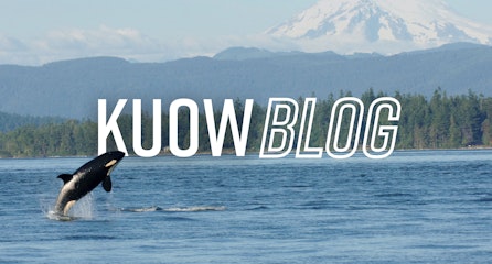 KUOW Blog Header.jpg