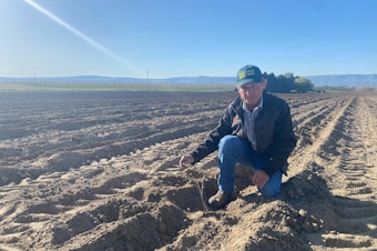 caption: Third-generation farmer Jim Willard at his fruit farm outside Prosser, Washington.