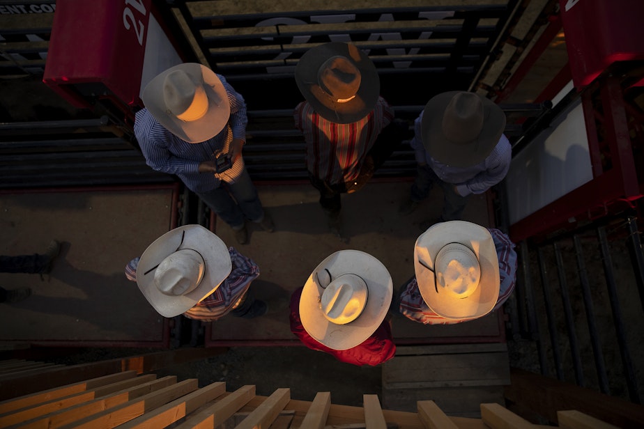 caption: Competitors watch from the shoots during the Basin City Freedom Rodeo on Friday, June 17, 2022, in Basin City. 