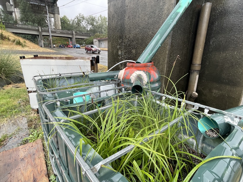 caption: "Adopt-a-downspout" boxes filter runoff from Interstate 5's Ship Canal Bridge in Seattle on Aug. 22, 2024.