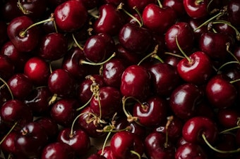 caption: The U.S. Department of Agriculture declared 11 Washington counties as primary natural disaster areas after a harsh 2023 season for cherry growers. Emergency loans of $500,000 were made available to farmers. 