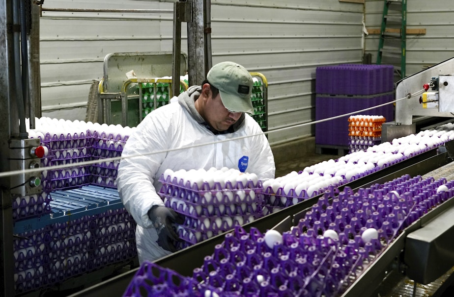 caption: A worker moves crates of eggs at the Sunrise Farms processing plant in Petaluma, Calif., on Thursday, Jan. 11, 2024.