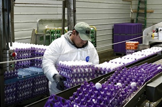 caption: A worker moves crates of eggs at the Sunrise Farms processing plant in Petaluma, Calif., on Thursday, Jan. 11, 2024.