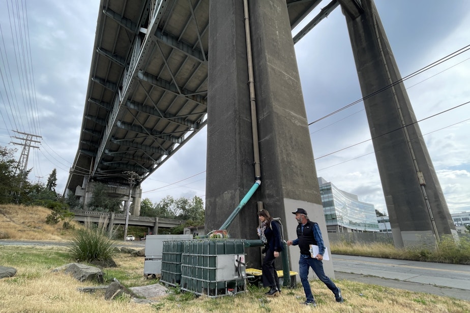 caption: Dakota Keene and David Burger with Stewardship Partners inspect the "adopt-a-downspout" pilot project beneath the Ship Canal Bridge on Interstate 5 in Seattle on Aug. 22, 2024.