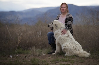 caption: Elise Walker poses for a portrait with her Great Pyrenees, Mina, on Monday, April 22, 2019, at her home on Old Highway 97 in Okanogan. Walker has three scanners in her home playing at all times to monitor fire calls. 