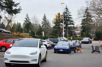 caption: A line of Teslas waiting for a charge in the Totem Lake Fred Meyer parking lot on Thursday, November 21, 2024.