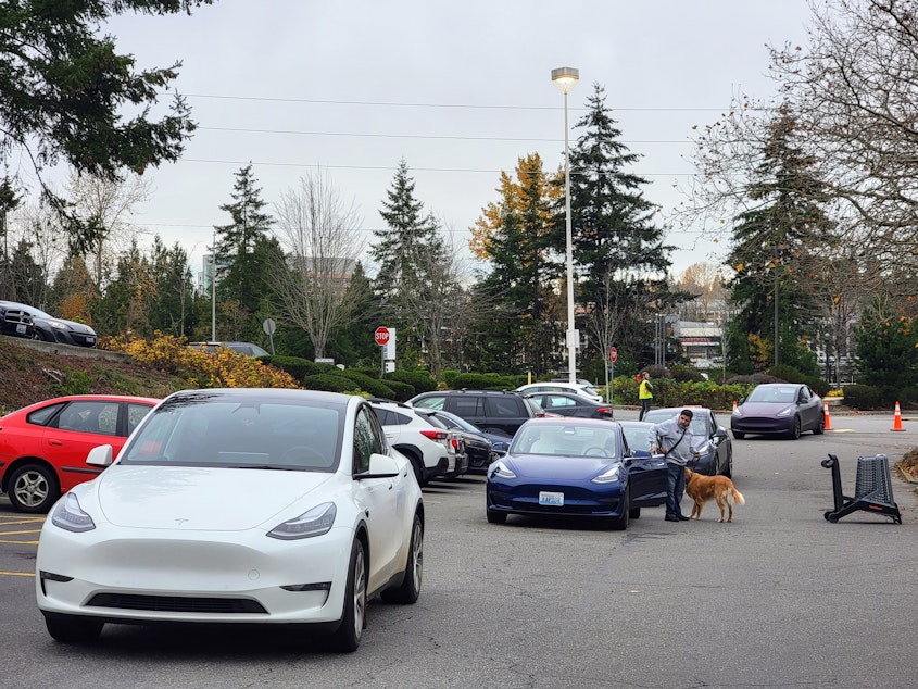 caption: A line of Teslas waiting for a charge in the Totem Lake Fred Meyer parking lot on Thursday, November 21, 2024.