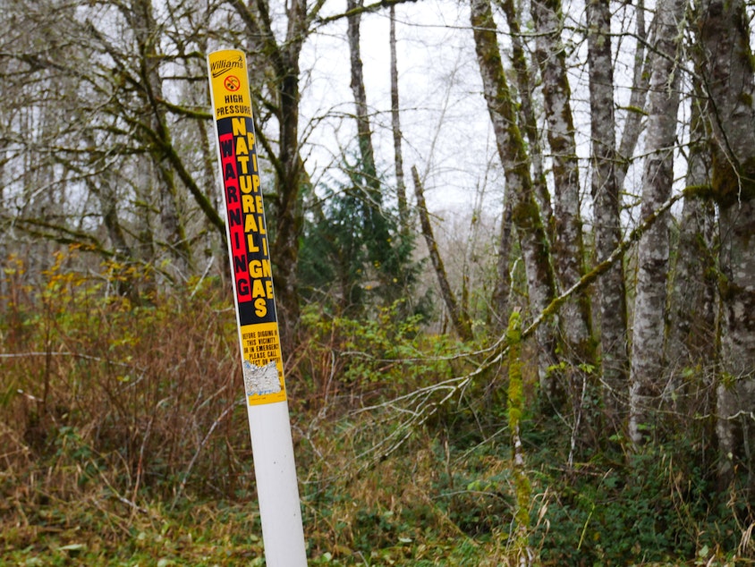 caption: A post indicates the location of an underground gas pipeline in Capitol State Forest, near Tumwater, Washington, on Nov. 25, 2021.