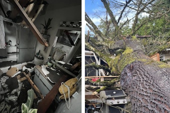 caption: Alyson Mabie's house after it was crushed by a tree