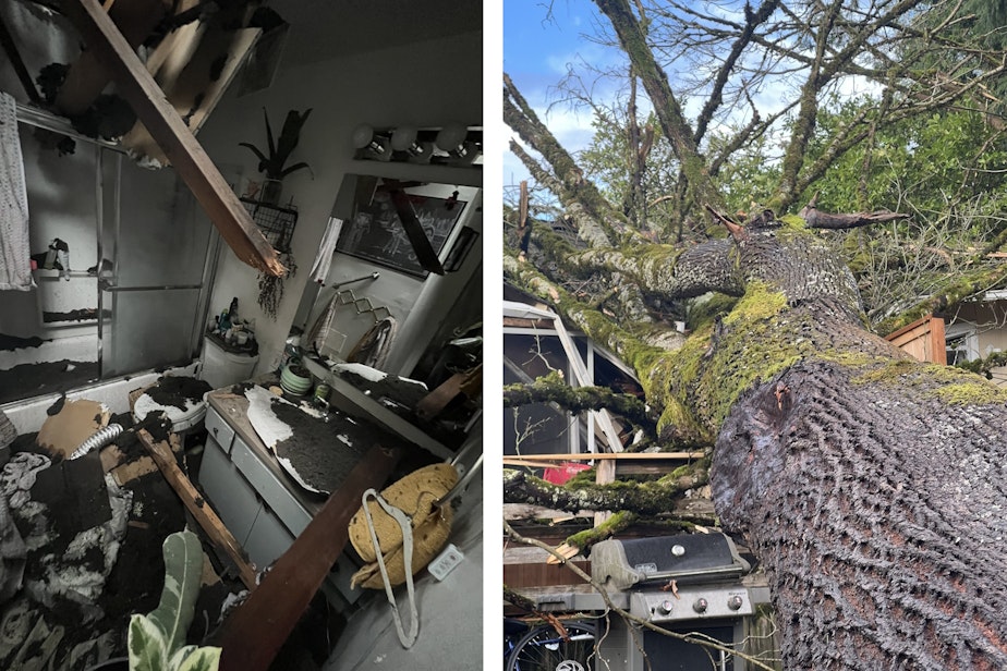 caption: Alyson Mabie's house after it was crushed by a tree