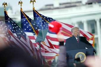 caption: Donald Trump speaks to supporters from The Ellipse near the White House on Jan. 6, 2021.