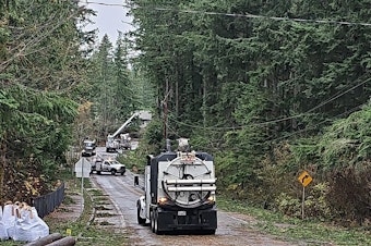 caption: Debris cleanup in Sammamish, Washington.