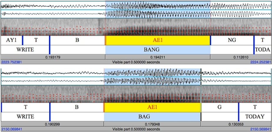 caption: Screenshots of the spectral analysis that professor Alicia Wassink works on in the sociolinguistics laboratory at the University of Washington.