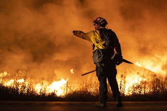 caption: Climate change is driving more frequent and intense wildfires. Companies and researchers are using AI to both detect wildfires early, and to help prevent megafires.