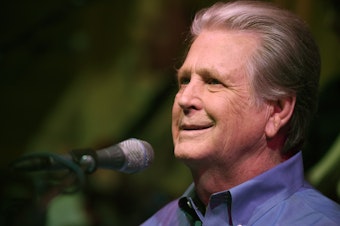 caption: Brian Wilson, performing in Los Angeles in 2015.