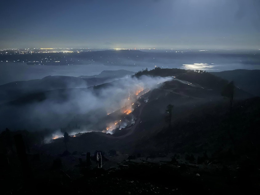 caption: The 2620 Road Fire near Brinnon burning, as viewed from above, in the early evening hours on August 18, 2024.
