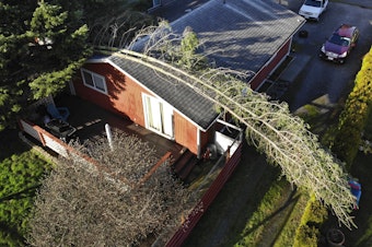 caption: In this photo taken by a drone, a massive tree branch that broke away in a windstorm lies across the roof of a house Wednesday, Jan. 13, 2021, in Bellingham, Wash. The powerful wind storm that rolled through the Pacific Northwest killed one person and left a trail of damage. The storm nearly blew a tractor-trailer off a bridge in Washington state, caused a landslide in Oregon and left more than 500,000 people in the two states without power. 