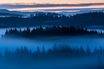 fog drenched Oregon coast