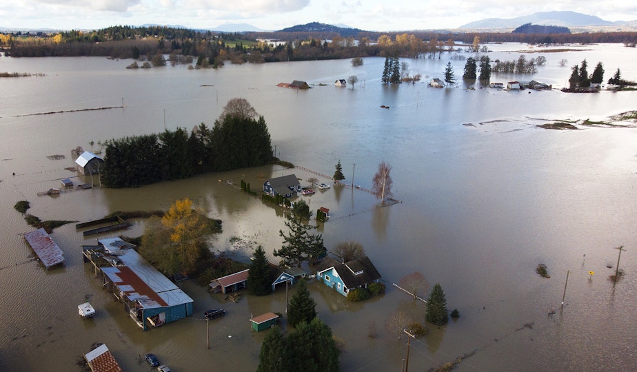 caption: Skagit River flood waters surround homes east of Mount Vernon on Nov. 16, 2021. 