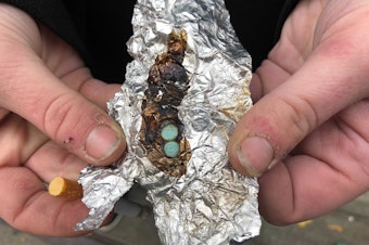 caption: A drug user displays two blue fentanyl pills she is smoking in downtown Seattle, October 22, 2021. 