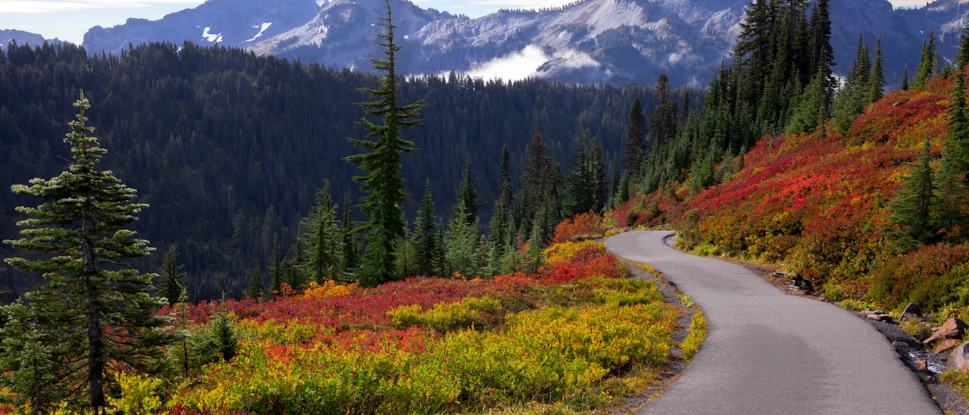 Mountain and Blooms