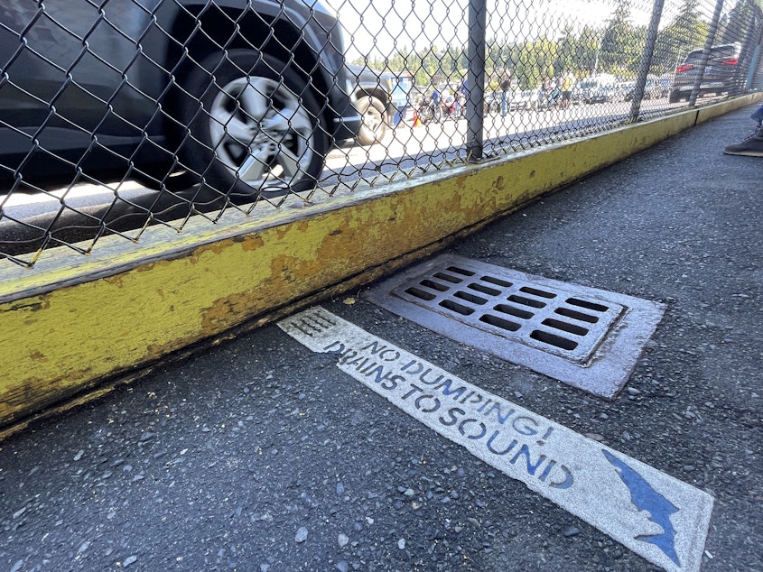 caption: Most storm drains, like this one at the Fauntleroy ferry terminal in West Seattle on Aug. 18, 2024, send dirty runoff directly into local water bodies.