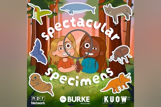 caption: Spectacular Specimens Cover Art