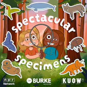 caption: Spectacular Specimens Cover Art