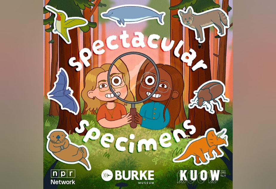 caption: Spectacular Specimens Cover Art