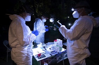 caption: Researchers examine and test bats for white-nose syndrome at Northwest Trek Wildlife Park in Eatonville, Washington, on June 1, 2022.