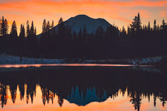 mount rainier sunset forest generic