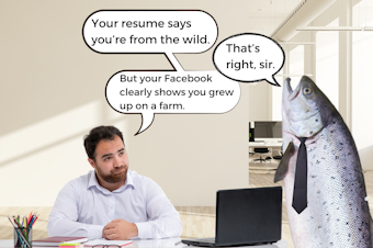 caption: A photo collage of a man at a desk with a laptop, interviewing a human-sized salmon in a tie. The man says, "Your resume says you're from the wild." The salmon responds, "That's right, sir." And the man says, "But your Facebook clearly shows you grew up on a farm." The salmon is stunned. Photos courtesy of Canva.