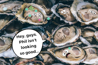 caption: A photo illustration showing anthropomorphized oysters in various states of nervousness. The center oyster is saying, "Hey, guys. Phil isn't looking so good..." It's referring to an oyster at the top left that appears to be sick, crawling with a virus. Several viruses are also moving in on two other oysters, which are watching in horror. Photo and graphics provided by Canva.