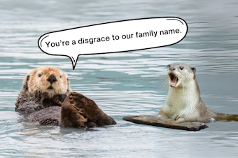 caption: A photo collage showing a sea otter telling a river otter, "You're a disgrace to our family name." Photos courtesy of Canva.