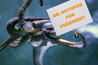 caption: A photo collage showing an octopus holding a sign that says, "DR. OCTOPUS FOR PRESIDENT." Photos courtesy of Canva.