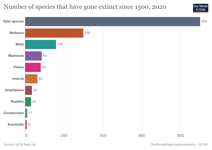 caption: More mollusks, mostly land snails, are known to have gone extinct in modern times than any other type of animal.