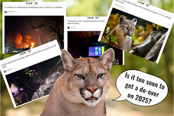 caption: A photo collage showing a cougar surrounded by recent headlines from January 2025. The stories include predictions about a volcanic eruption in 2025, the Los Angeles wildfires, school funding concerns, and the deaths of 20 big cats at a wildlife sanctuary. The cougar is saying, "Is it too soon to get a do-over on 2025?" Photos courtesy of Canva. Screenshots from kuow.org.