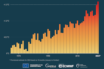 caption: 2024 is on track to be the Earth's warmest year on record and the first to pass 1.5 degrees Celsius above pre-industrial levels. 