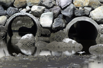 caption: A pair of culverts near Silverdale, Washington.