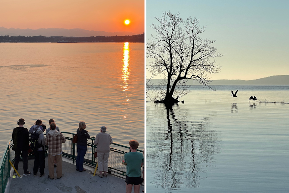 caption: Edmonds-Kingston ferry riders watch the sunset over Puget Sound and the Olympic Mountains on Aug. 9, 2024 (left). Canada geese take off from the Chesapeake Bay at Havre de Grace, Maryland (right).