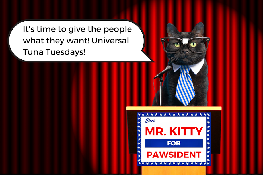 caption: A photo collage of a cat, wearing glasses and a tie, at a lectern with a sign that says, "Elect Mr. Kitty for Pawsident." The cat is saying, "It's time to give the people what they want! Universal Tuna Tuesdays!" Photos courtesy of Canva. 